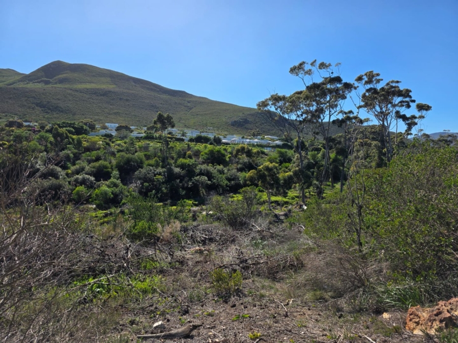Commercial Property for Sale in Onrus Western Cape